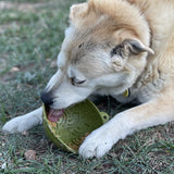 Garden of Eatin' Tipsy Bowl - Wobble Lick Mat for Dogs & Cats | USA Made - SodaPup/True Dogs, LLC - Flyclothing LLC