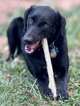 Durable Nylon Chew Stick for Power Chewers | Durable Dog Toy USA - SodaPup/True Dogs, LLC - Flyclothing LLC