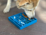 Waiting Dogs eTray - Shallow Slow Feeder Bowl for Enrichment | USA Made - SodaPup/True Dogs, LLC - Flyclothing LLC