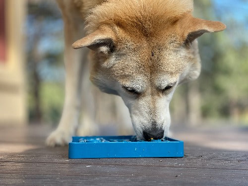 Waiting Dogs eTray - Shallow Slow Feeder Bowl for Enrichment | USA Made - SodaPup/True Dogs, LLC - Flyclothing LLC
