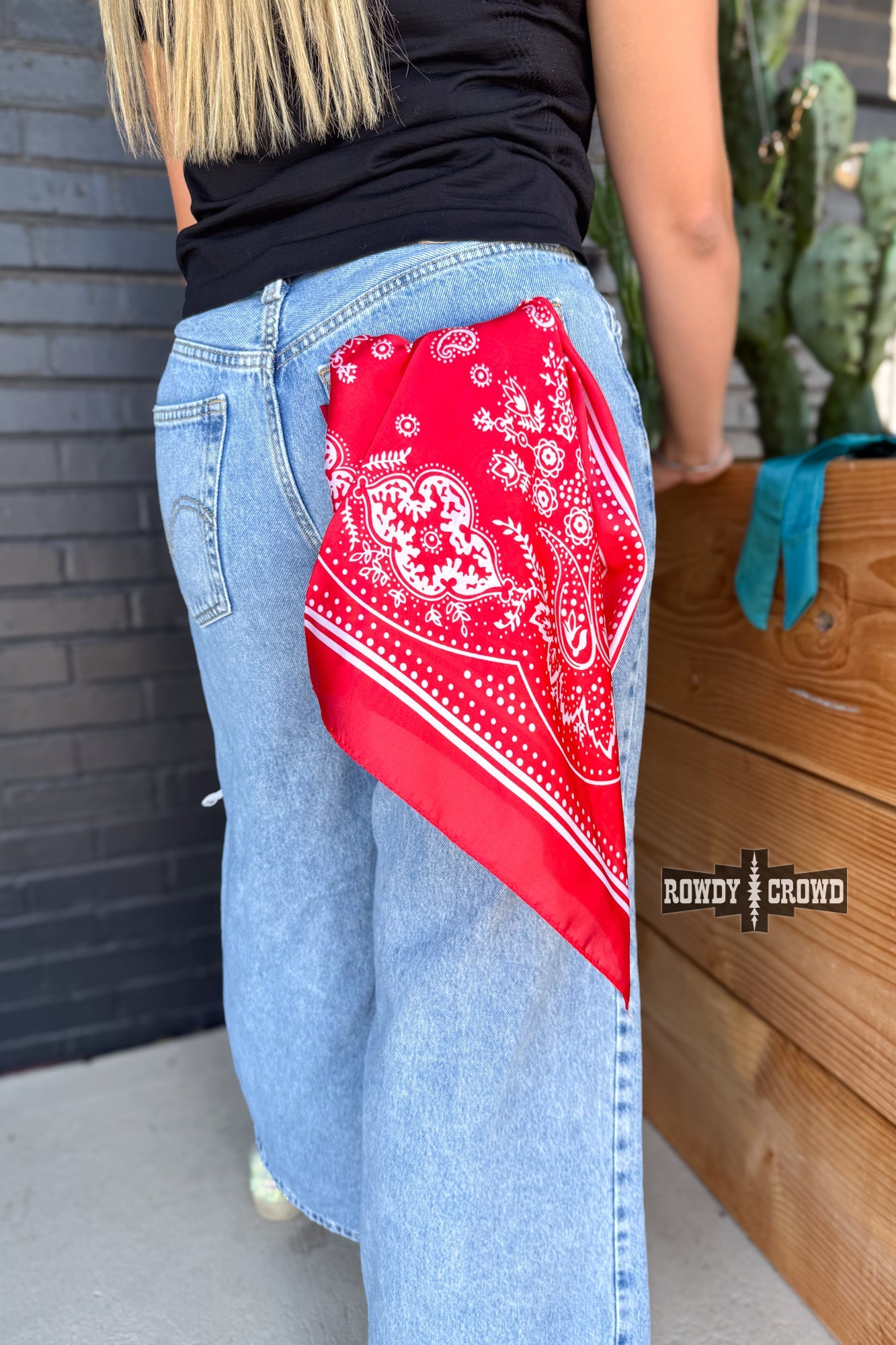 DS SMALL Buffalo Bandana Wild Rags