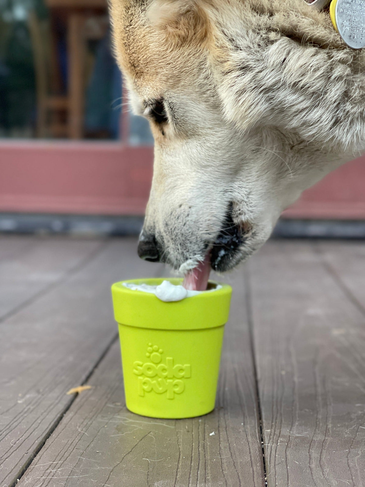 Large Flower Pot eCup Dog Treat Dispenser | Durable USA-Made Enrichment Toy | SodaPup - SodaPup/True Dogs, LLC - Flyclothing LLC