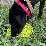 Citrus Design eMat - Enrichment Lick Mat For Dogs and Cats - with Suction Cups | USA Made - SodaPup/True Dogs, LLC - Flyclothing LLC