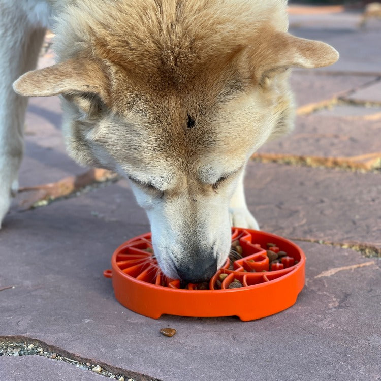 Sun and Moon eTray - Shallow Slow Feeder Dog Bowl for Enrichment | USA Made - SodaPup/True Dogs, LLC - Flyclothing LLC