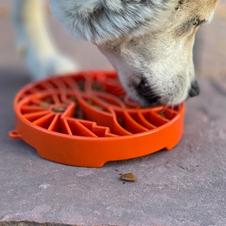 Sun and Moon eTray - Shallow Slow Feeder Dog Bowl for Enrichment | USA Made - SodaPup/True Dogs, LLC - Flyclothing LLC