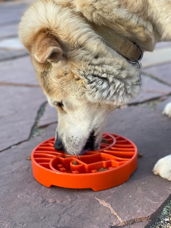 Sun and Moon eTray - Shallow Slow Feeder Dog Bowl for Enrichment | USA Made - SodaPup/True Dogs, LLC - Flyclothing LLC