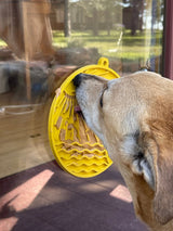 Sun n' Sea eMat - Enrichment Lick Mat For Dogs and Cats - With Suction Cups - Beach Design | USA Made - SodaPup/True Dogs, LLC - Flyclothing LLC