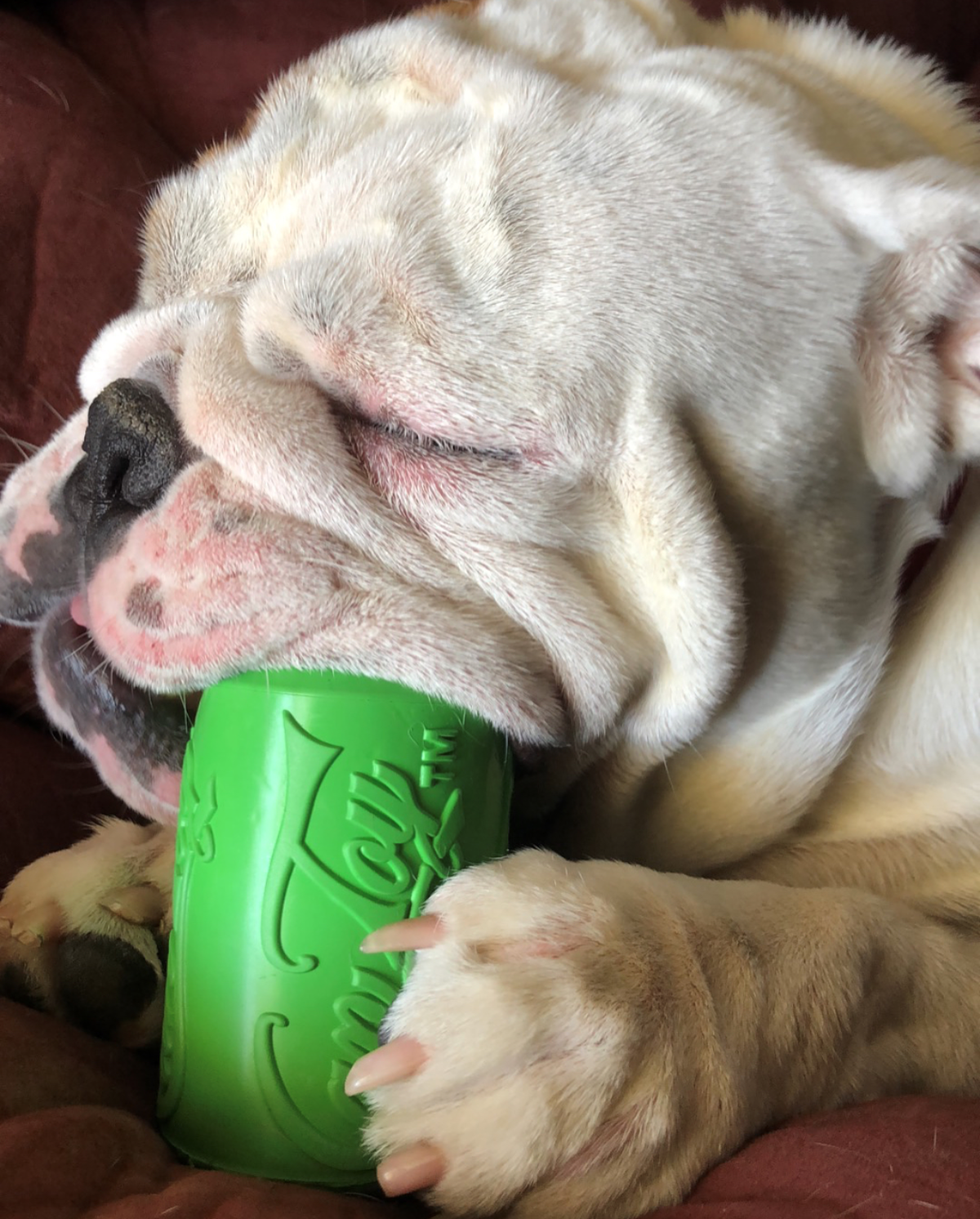 Can Toy Rubber Dog Chew Toy for Average Chewers | Treat Dispenser | USA Made - SodaPup/True Dogs, LLC - Flyclothing LLC