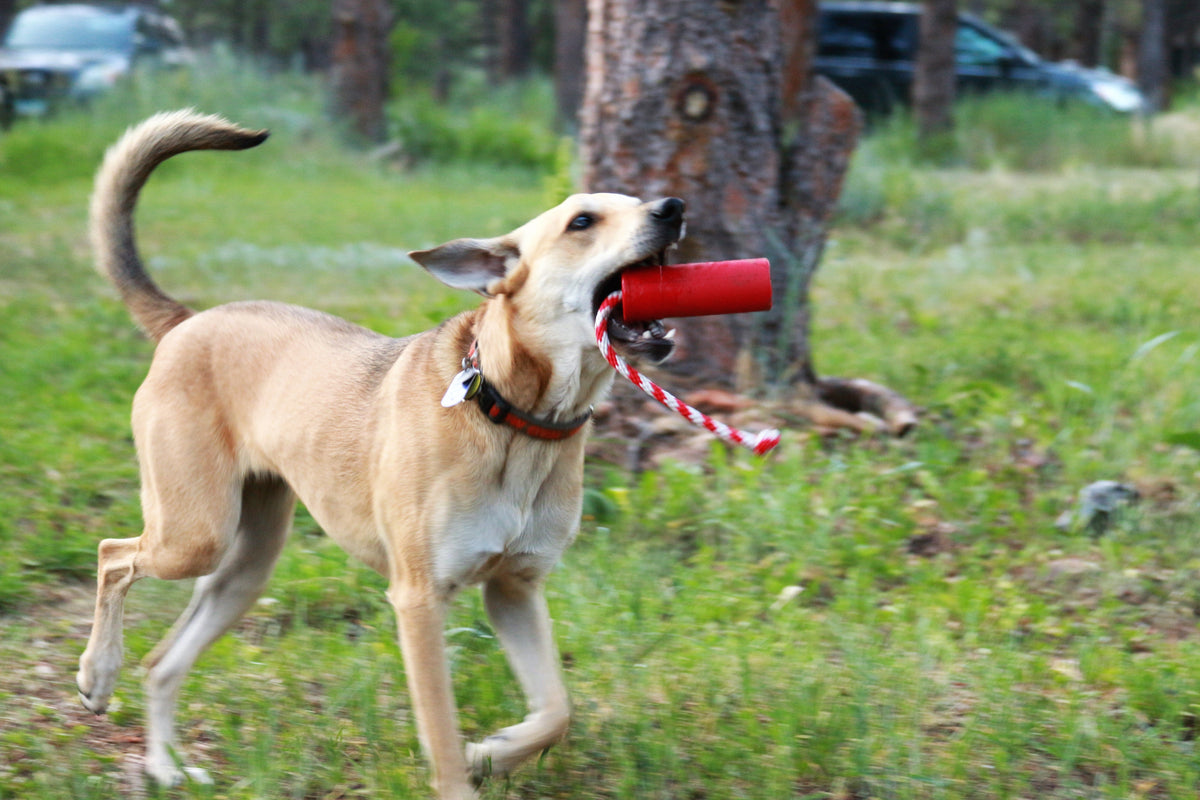 USA-K9 Firecracker Floating Training Dummy | K9 Handler Reward Toy | Red | USA Made - SodaPup/True Dogs, LLC - Flyclothing LLC