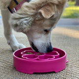 Flower eBowl Deep Slow Feeder Dog Bowl for Enrichment | USA Made - SodaPup/True Dogs, LLC - Flyclothing LLC