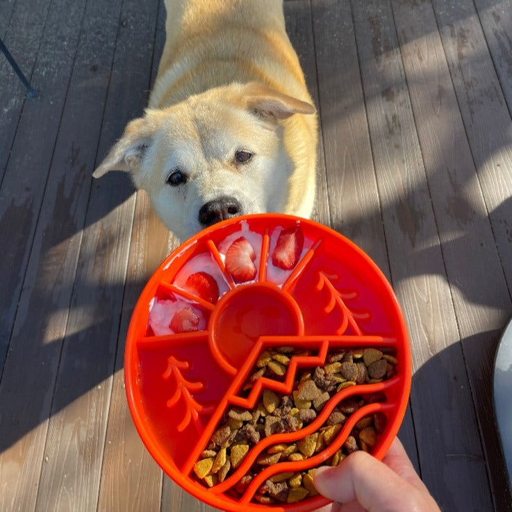 Great Outdoors eBowl - Slow Feeder Dog Bowl & Enrichment | USA Made - SodaPup/True Dogs, LLC - Flyclothing LLC