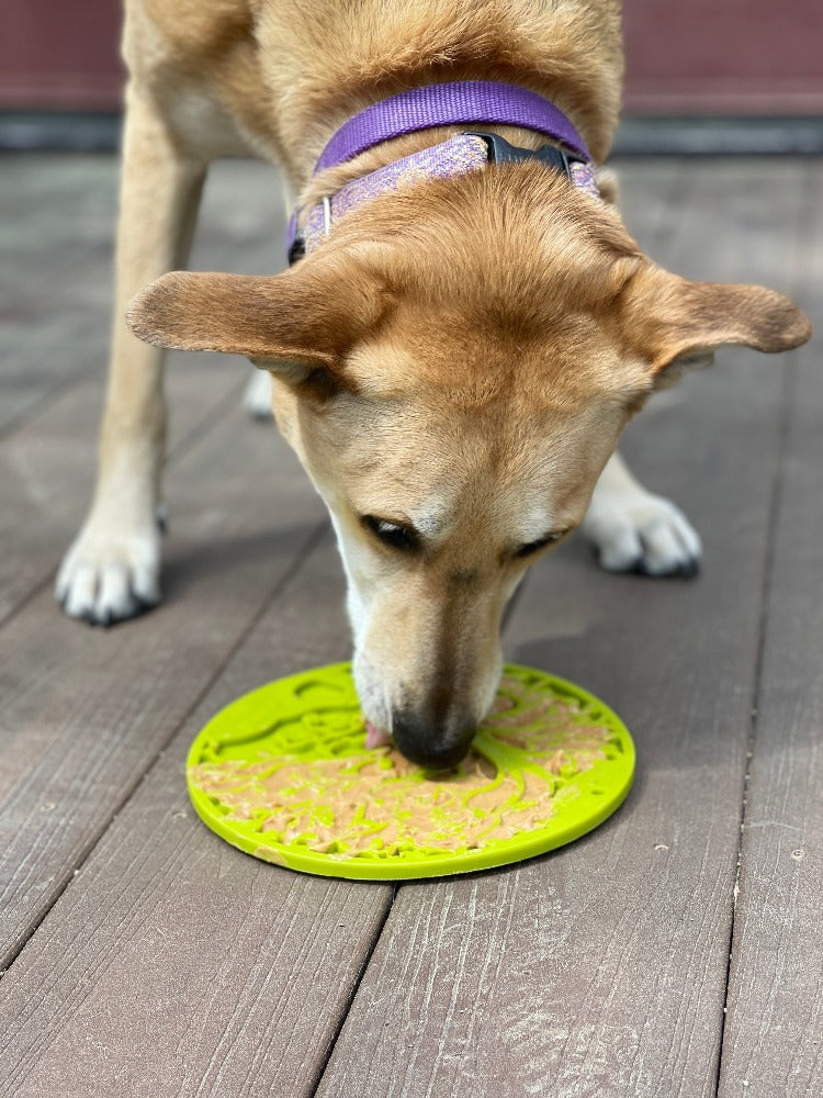 Tree of Life eMat - Enrichment Lick Mat For Dogs and Cats - With Suction Cups | Tree Design | USA Made - SodaPup/True Dogs, LLC - Flyclothing LLC