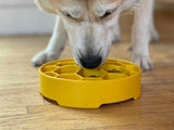 Honeycomb eBowl Deep Slow Feeder Dog Bowl for Enrichment | USA Made - SodaPup/True Dogs, LLC - Flyclothing LLC