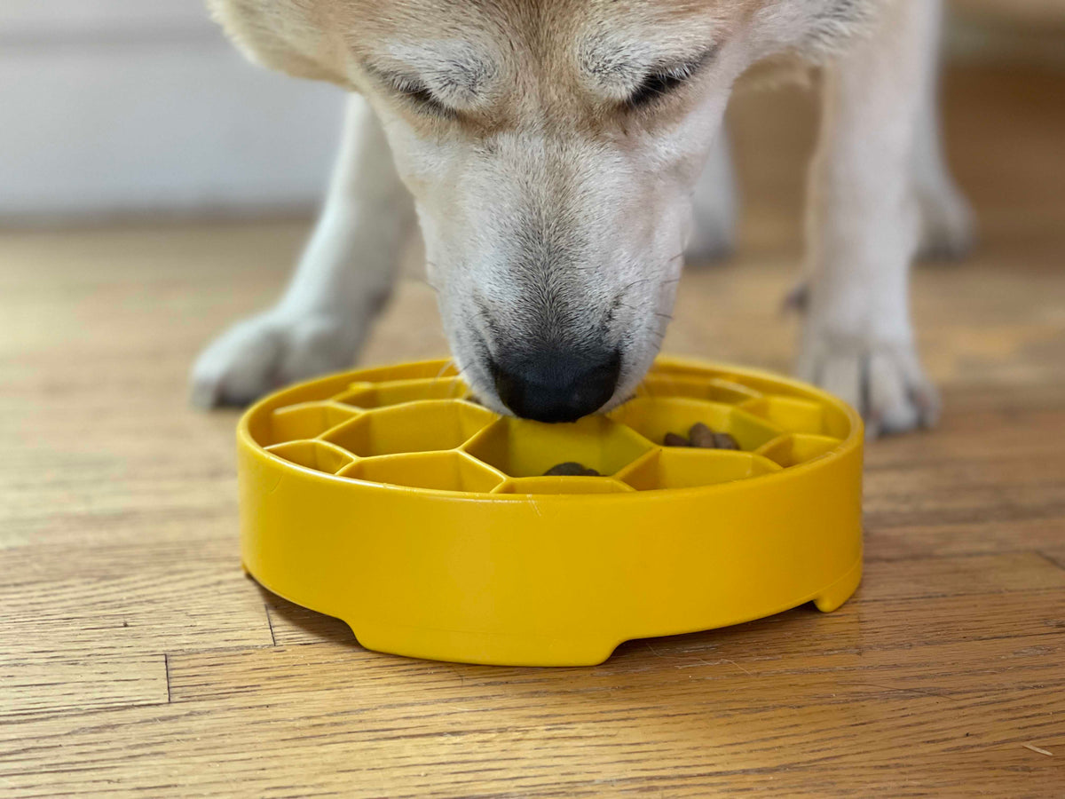 Honeycomb eBowl Deep Slow Feeder Dog Bowl for Enrichment | USA Made - SodaPup/True Dogs, LLC - Flyclothing LLC