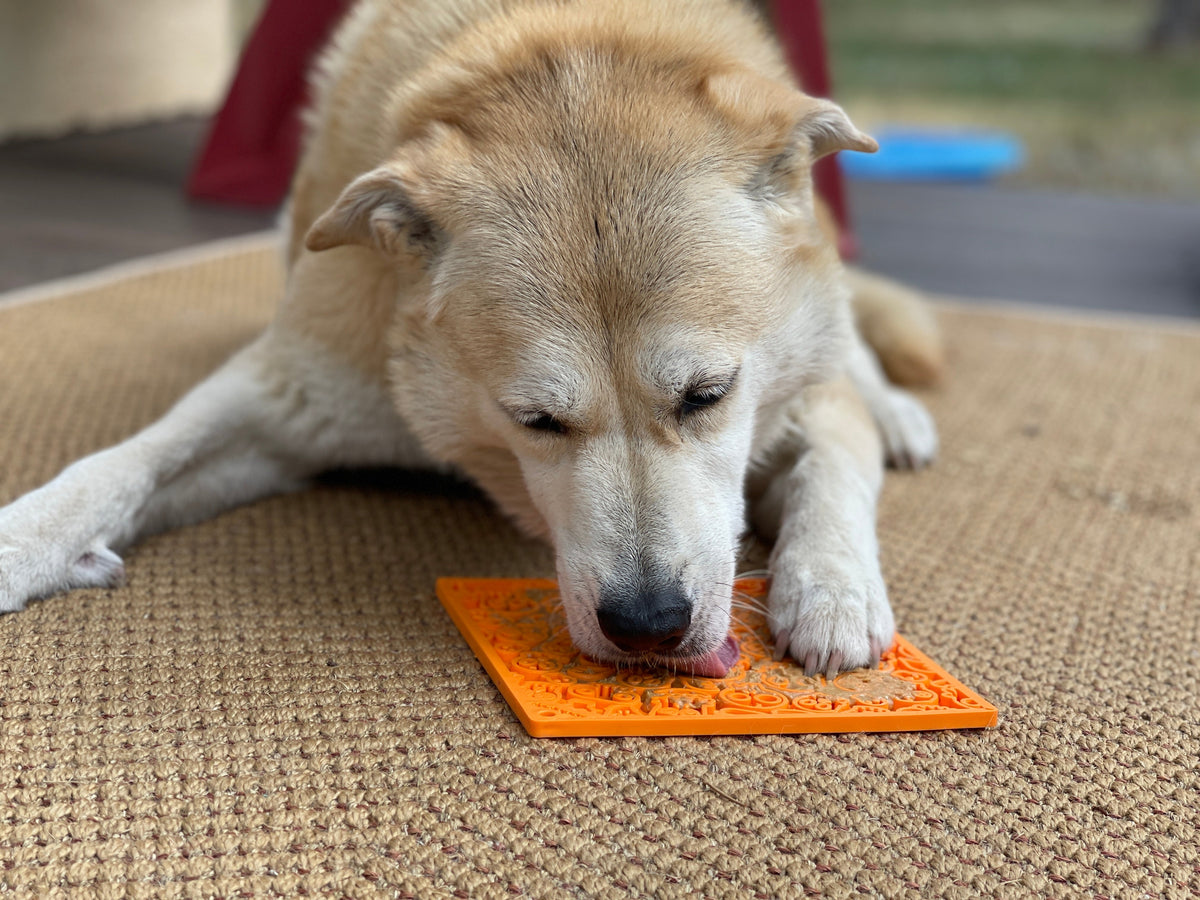 Zombie eMat - Enrichment Lick Mat for Dogs and Cats | Halloween Skull Design | SodaPup - SodaPup/True Dogs, LLC - Flyclothing LLC
