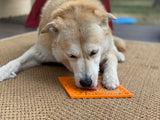 Zombie eMat - Enrichment Lick Mat for Dogs and Cats | Halloween Skull Design | SodaPup - SodaPup/True Dogs, LLC - Flyclothing LLC