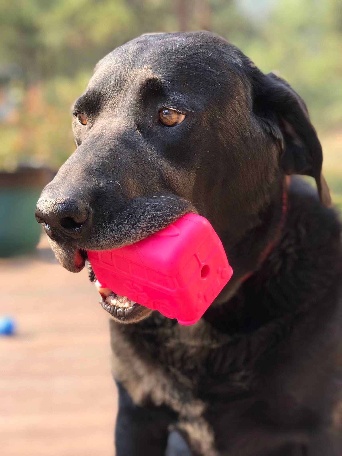 Surf's Up! Retro Van Dog Toy - Durable Chew Toy for Large Dogs | USA Made - SodaPup/True Dogs, LLC - Flyclothing LLC