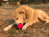 Surf's Up! Retro Van Dog Toy - Durable Chew Toy for Large Dogs | USA Made - SodaPup/True Dogs, LLC - Flyclothing LLC