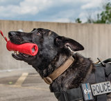 USA-K9 Firecracker Floating Training Dummy | K9 Handler Reward Toy | Red | USA Made - SodaPup/True Dogs, LLC - Flyclothing LLC