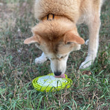 Water Frog eTray - Shallow Slow Feeder Dog Bowl for Enrichment | USA Made - SodaPup/True Dogs, LLC - Flyclothing LLC
