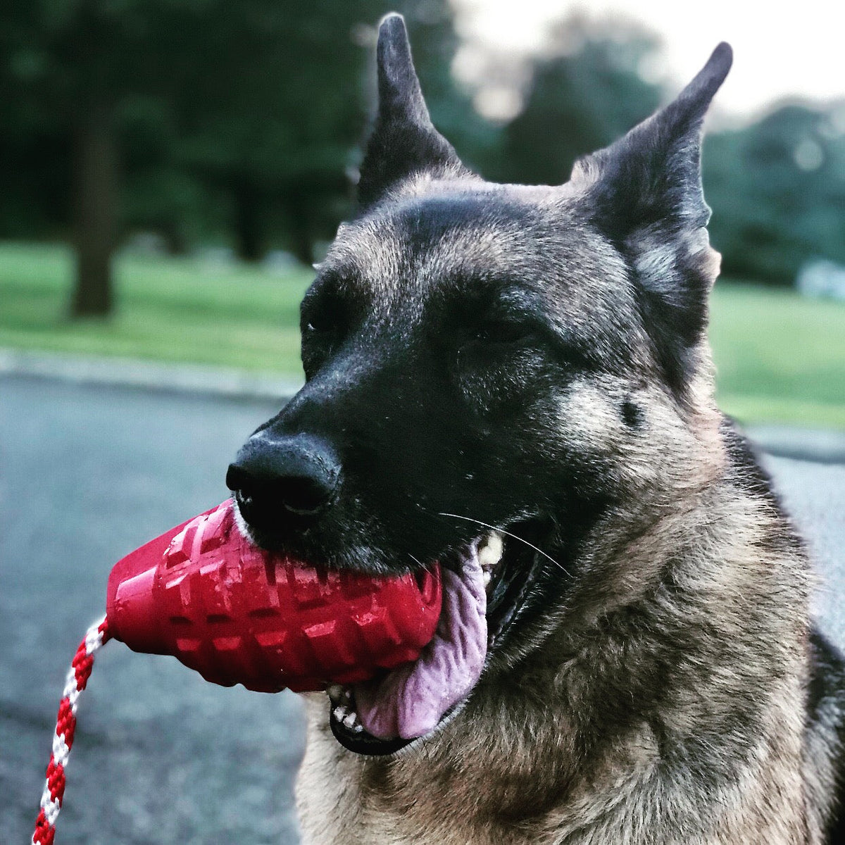 USA-K9 Grenade Shaped Rubber Dog Toy - Chew, Treat Dispenser & Tug Toy | USA - Army Green - SodaPup/True Dogs, LLC - Flyclothing LLC