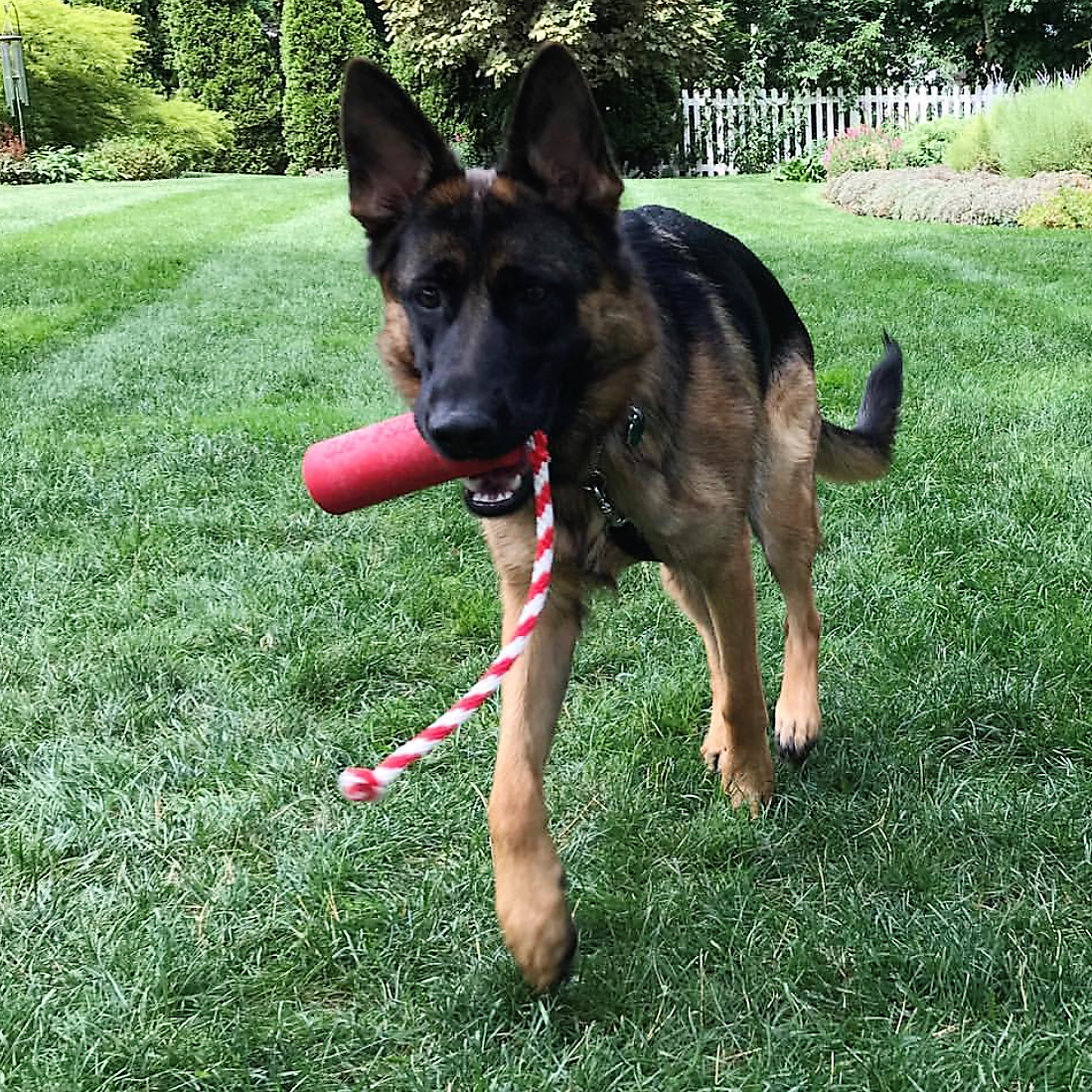 USA-K9 Firecracker Floating Training Dummy | K9 Handler Reward Toy | Red | USA Made - SodaPup/True Dogs, LLC - Flyclothing LLC