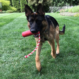 USA-K9 Firecracker Floating Training Dummy | K9 Handler Reward Toy | Red | USA Made - SodaPup/True Dogs, LLC - Flyclothing LLC