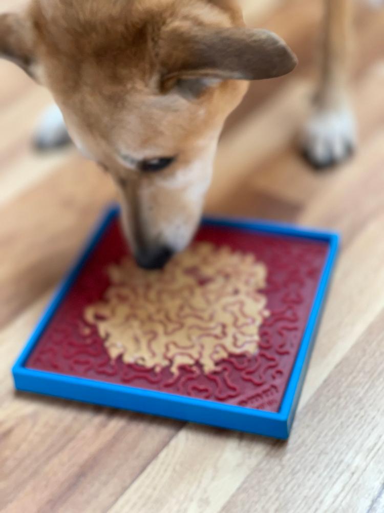 Hold 'em Suction Cup Holder for Dog Bowls & Lick Mats | USA Made - SodaPup/True Dogs, LLC - Flyclothing LLC