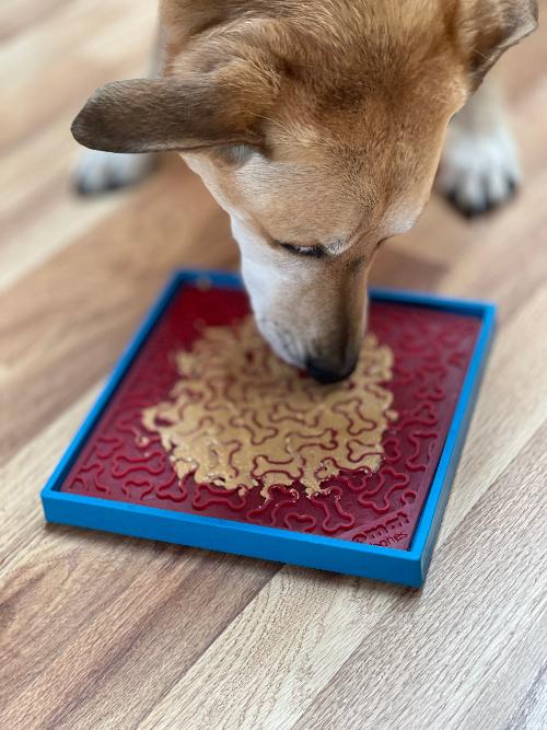 Hold 'em Suction Cup Holder for Dog Bowls & Lick Mats | USA Made - SodaPup/True Dogs, LLC - Flyclothing LLC