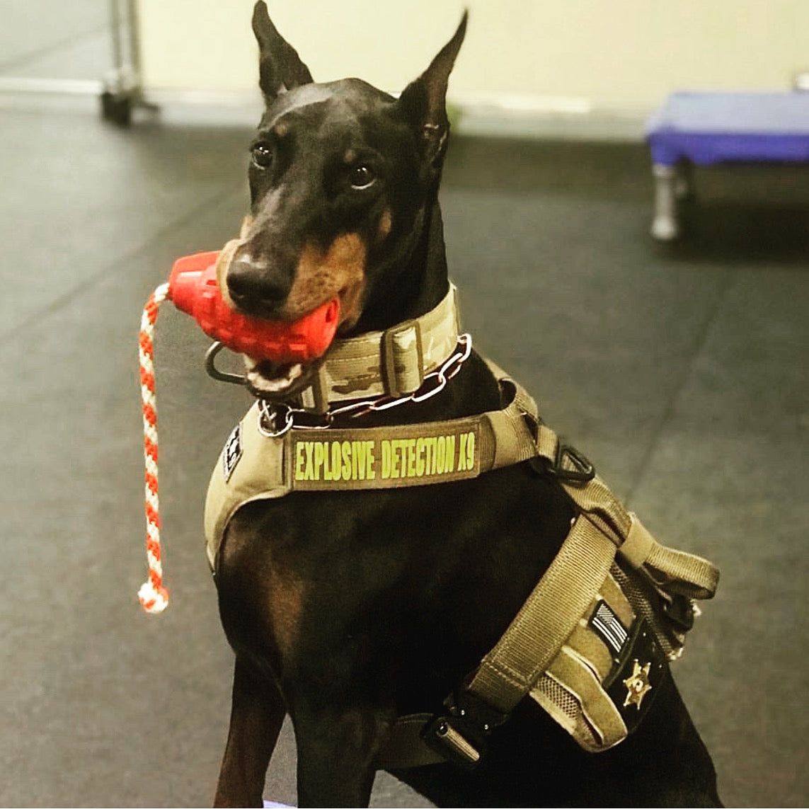 USA-K9 Magnum Grenade - Black Magnum Rubber Chew Toy for Extreme Chewers | USA Made - SodaPup/True Dogs, LLC - Flyclothing LLC