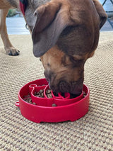 Santa Christmas eBowl Deep Slow Feeder Dog Bowl for Enrichment | USA Made - SodaPup/True Dogs, LLC - Flyclothing LLC