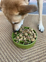 Pine Tree Christmas eBowl Deep Slow Feeder Dog Bowl for Enrichment | USA Made - SodaPup/True Dogs, LLC - Flyclothing LLC