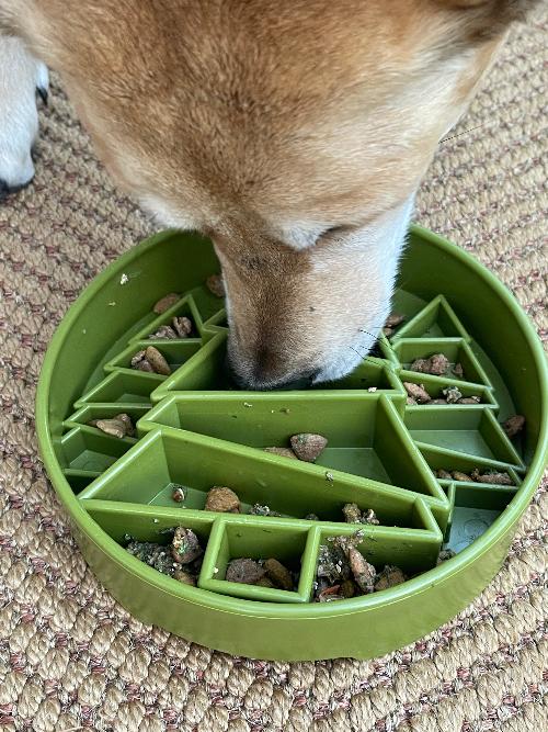 Pine Tree Christmas eBowl Deep Slow Feeder Dog Bowl for Enrichment | USA Made - SodaPup/True Dogs, LLC - Flyclothing LLC