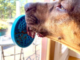 Turtle eMat-Mini Lick Mat with Suction Cups - Small Dogs & Cats | USA - SodaPup/True Dogs, LLC - Flyclothing LLC