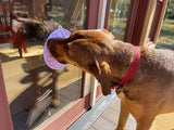 Lotus Design emat - Enrichment Lick Mat For Dogs and Cats - With Suction Cups | USA Made - SodaPup/True Dogs, LLC - Flyclothing LLC