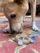 Turtle Nylon Chew Toy - Ultra-Durable Enrichment Toy for Power Chewers USA - SodaPup/True Dogs, LLC - Flyclothing LLC