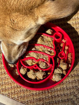 Santa Christmas eBowl Deep Slow Feeder Dog Bowl for Enrichment | USA Made - SodaPup/True Dogs, LLC - Flyclothing LLC