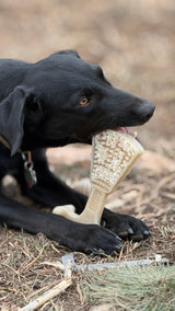 Waffle Tower Nylon Chew & Enrichment Toy | 2-in-1 for Aggressive Chewers | SodaPup - SodaPup/True Dogs, LLC - Flyclothing LLC