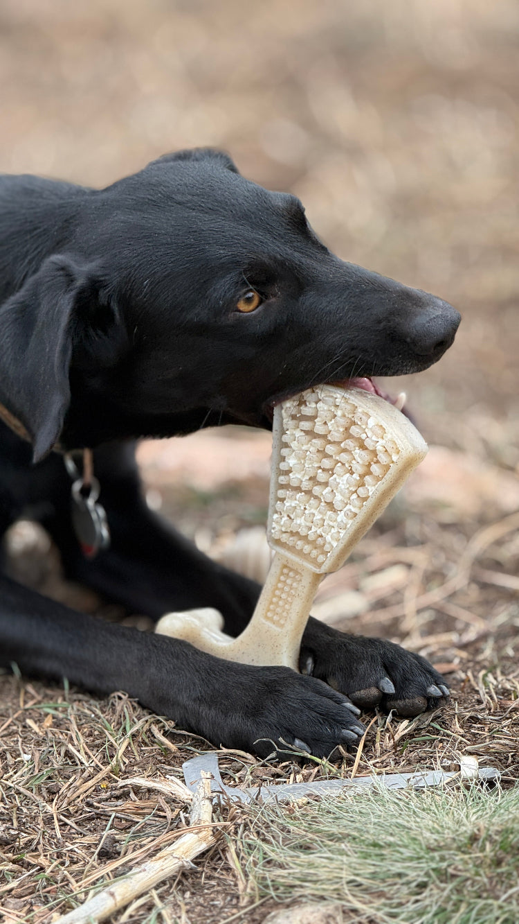 Waffle Tower Nylon Chew & Enrichment Toy | 2-in-1 for Aggressive Chewers | SodaPup - SodaPup/True Dogs, LLC - Flyclothing LLC