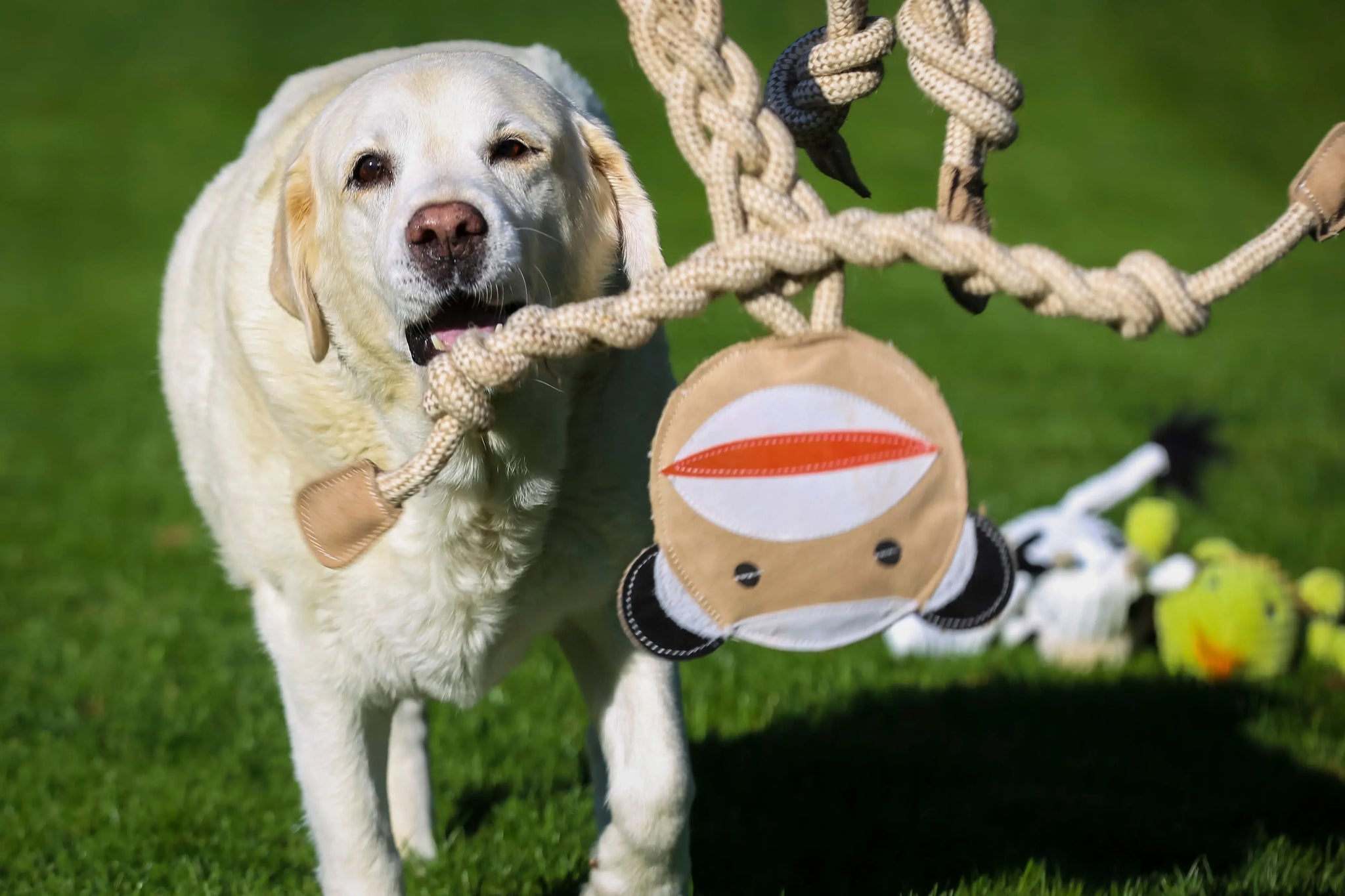 Stuey Sock Monkey Natural Rope Knottie® Dog Toy, Large (9mm rope diameter) - HuggleHounds - Flyclothing LLC