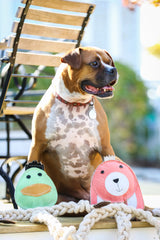 Bitsy Bunny Natural Rope Knottie® Dog Toy, Large (9mm rope diameter) - HuggleHounds - Flyclothing LLC