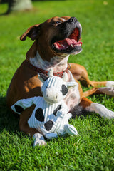 Dottie Cow Knottie® Plush Dog Toy - HuggleHounds - Flyclothing LLC