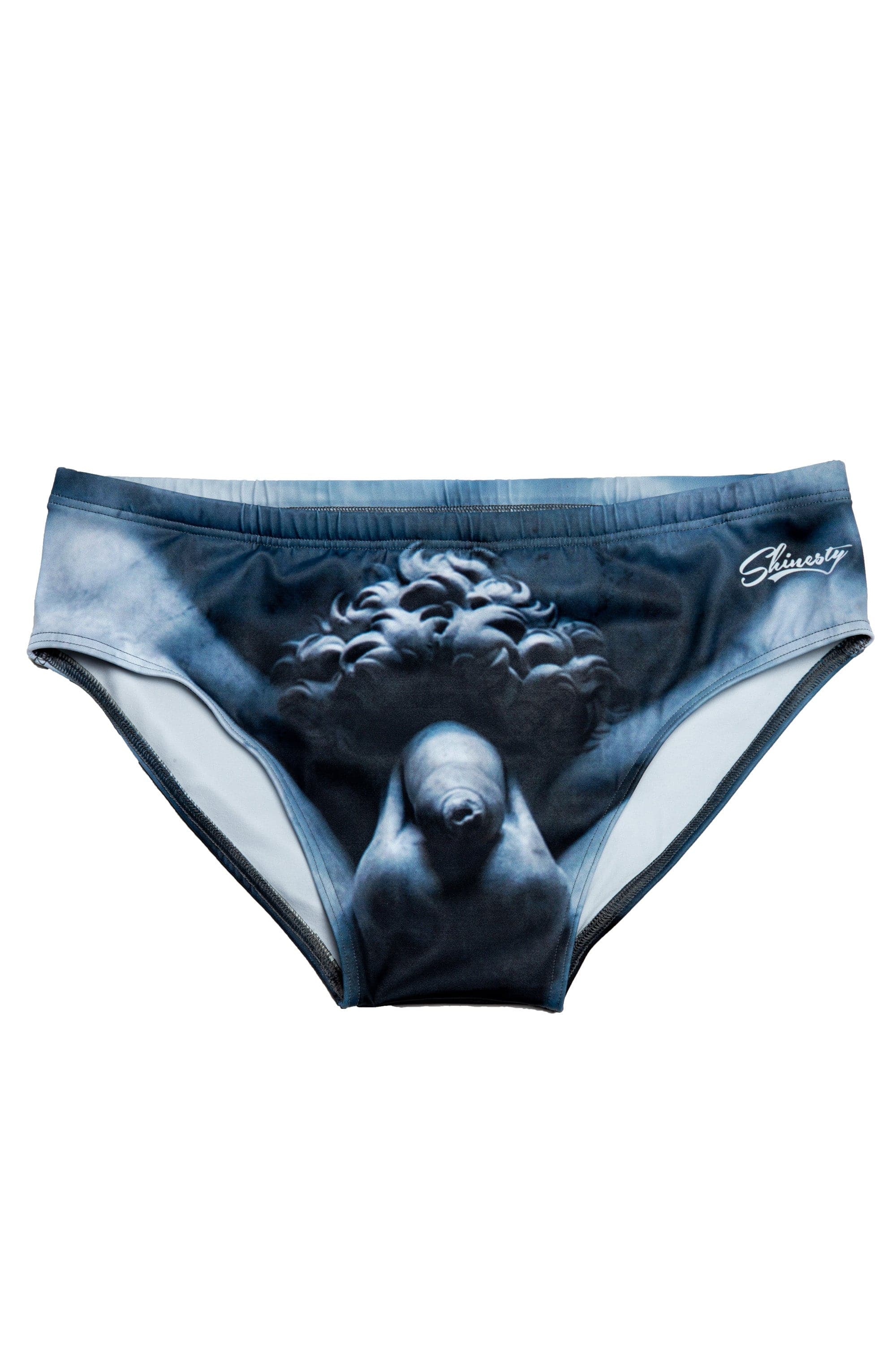The Statue Of David | David Swim Brief - Shinesty