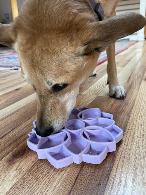 Mandala Softie eTray Shallow Slow Feeder Dog Bowl with Suction Cups | USA Made - SodaPup/True Dogs, LLC - Flyclothing LLC
