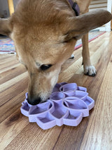 Mandala Softie eTray Shallow Slow Feeder Dog Bowl with Suction Cups | USA Made - SodaPup/True Dogs, LLC - Flyclothing LLC