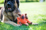 Morris Moose Knottie® Plush Dog Toy - HuggleHounds - Flyclothing LLC