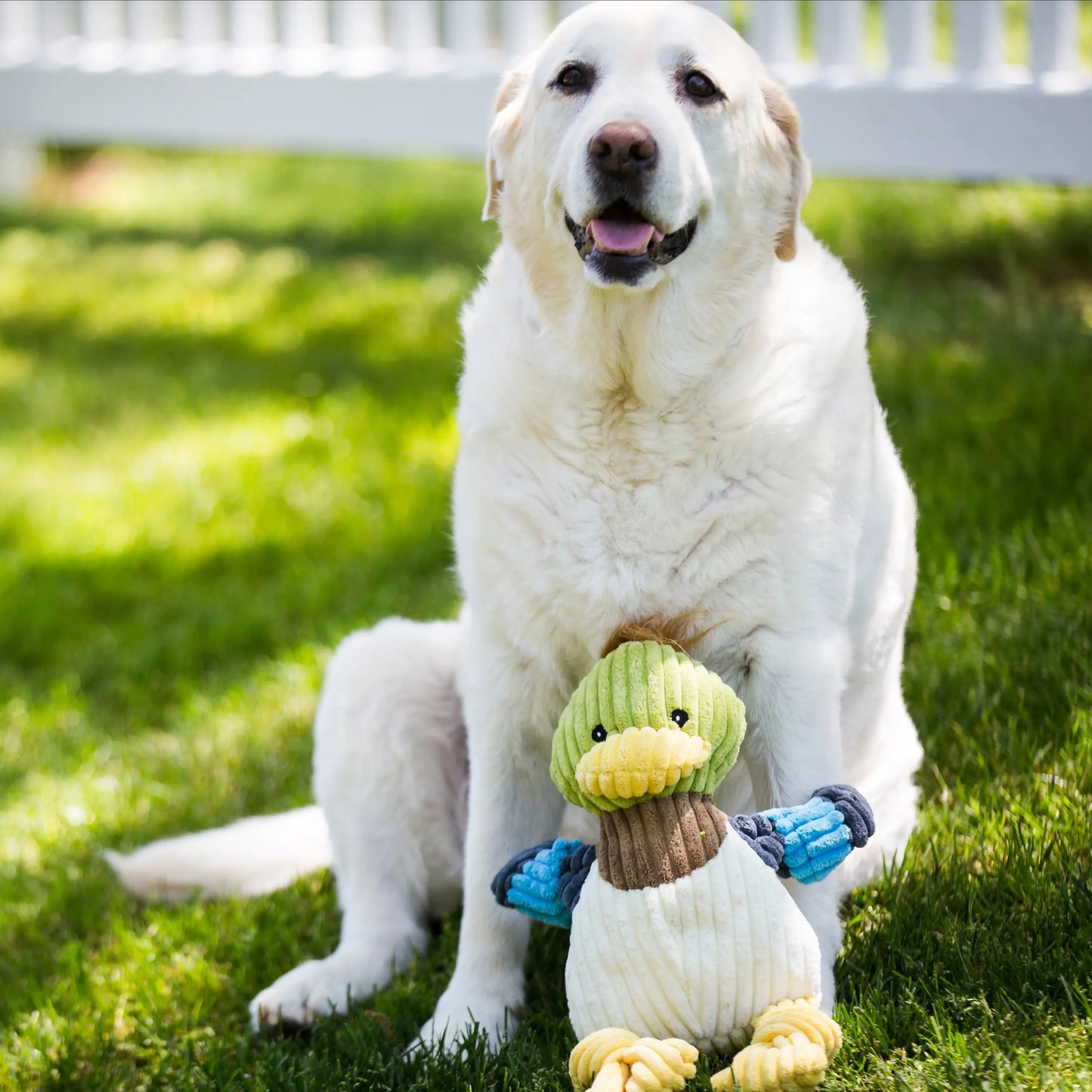 Dilly Duck Knottie® Plush Dog Toy - HuggleHounds - Flyclothing LLC