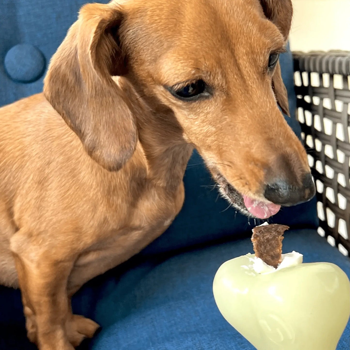 Dog Treat Dispensers - Farm To Pet - Flyclothing LLC