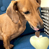 Dog Treat Dispensers - Farm To Pet - Flyclothing LLC