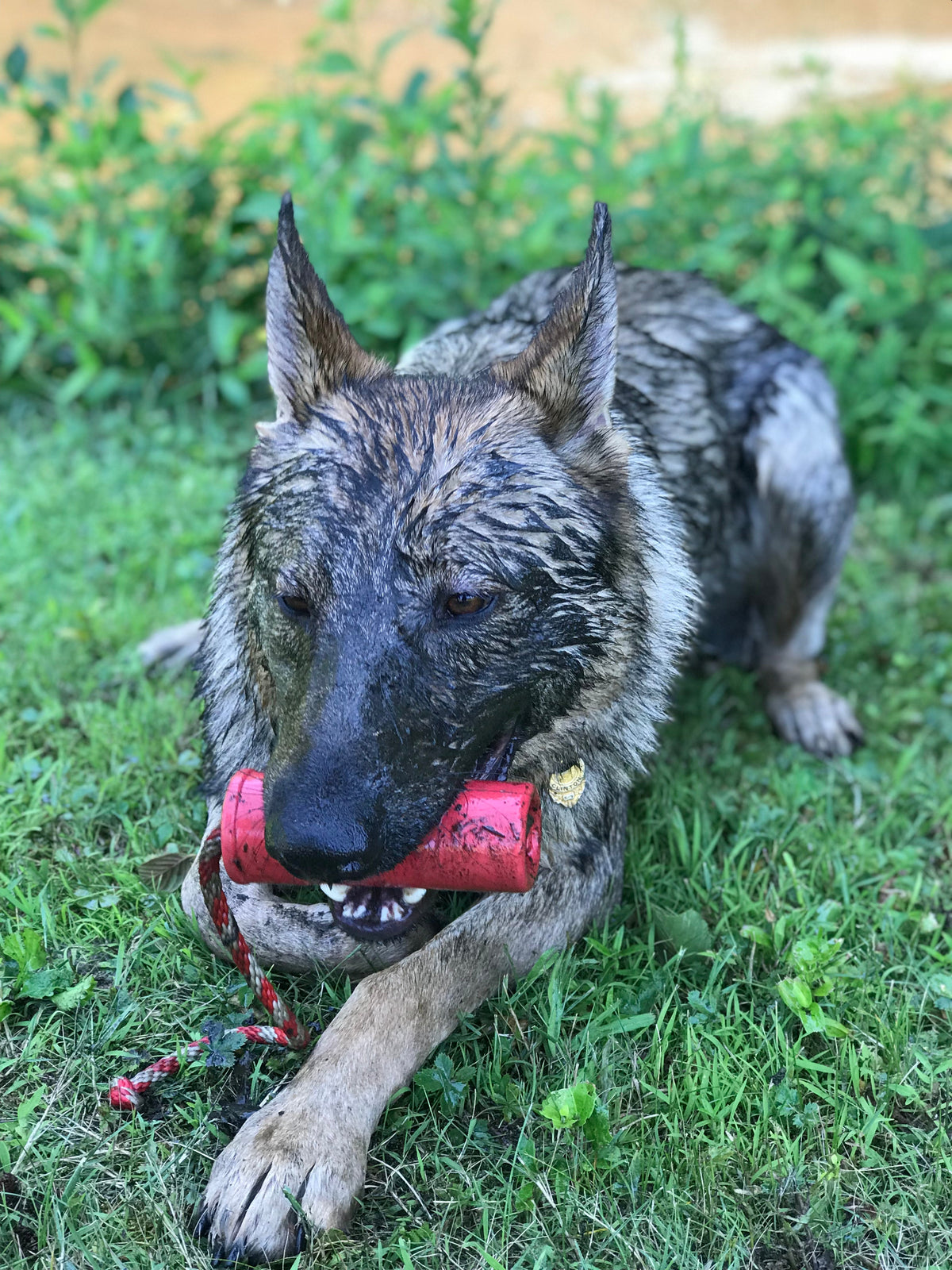 USA-K9 Firecracker Floating Training Dummy | K9 Handler Reward Toy | Red | USA Made - SodaPup/True Dogs, LLC - Flyclothing LLC